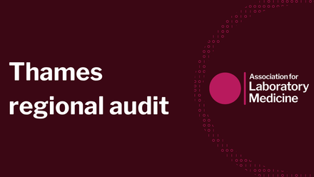Themes  regional audit .png