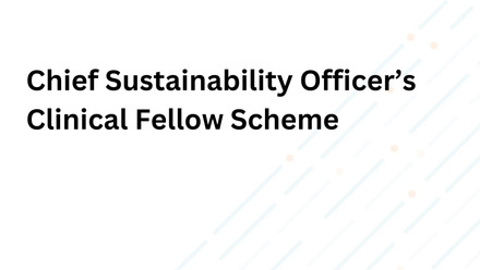 chief sustainability officer fellow recruitment.jpg
