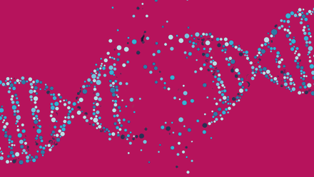 Leaders summit-pink.png