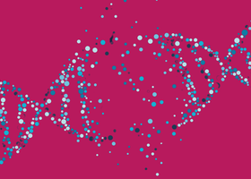 Leaders summit-pink.png