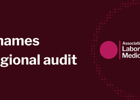 Themes  regional audit .png
