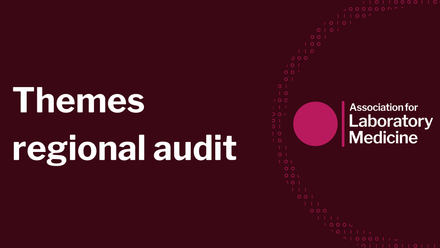 Themes  regional audit .png