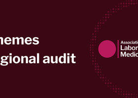 Themes  regional audit .png