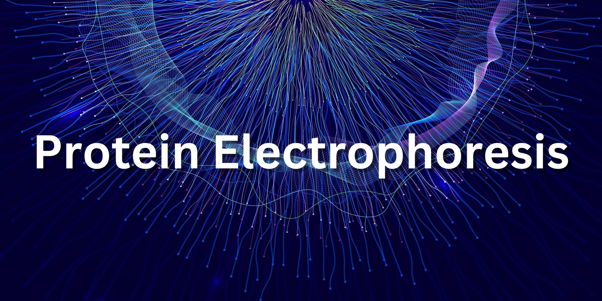 Protein electrophoresis thumbnail